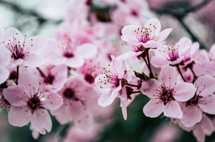 internal linking boosts growth